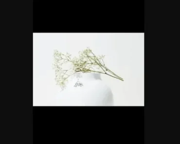 Image Gallery with Thumbnails Component For React Native