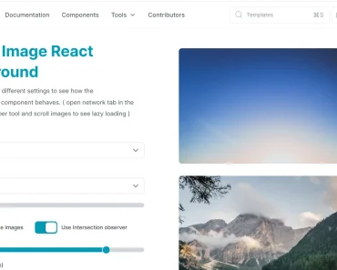 React Lazy Load Image Component with Custom Placeholders